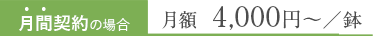 月間契約の場合月額 3,300円〜／鉢