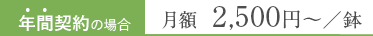 年間契約の場合 月額 2,200円〜／鉢