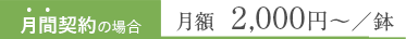 月間契約の場合月額 1,650円〜／鉢