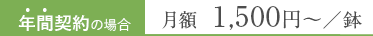 年間契約の場合 月額 1,100円〜／鉢