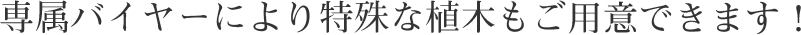 専属バイヤーにより特殊な植木もご用意できます！