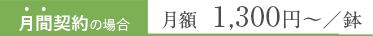 月間契約の場合月額  880円〜／鉢