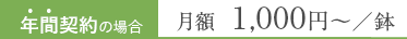 年間契約の場合月額  550円〜／鉢