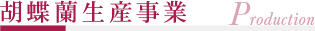 胡蝶蘭生産事業