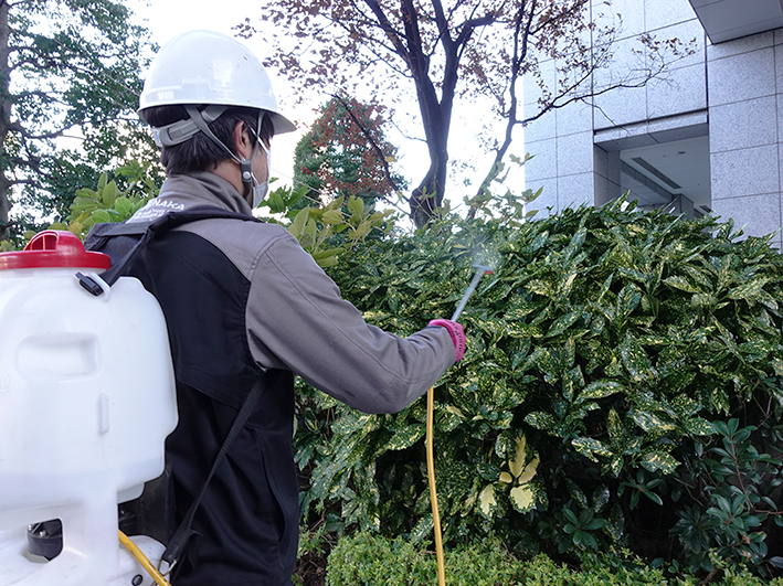 剪定や薬剤散布、除草を行っている様子