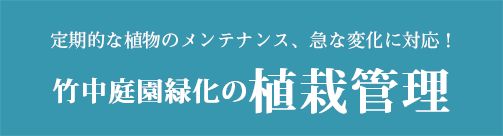 定期的な植物のメンテナンス、急な変化に対応！竹中庭園緑化の植栽管理