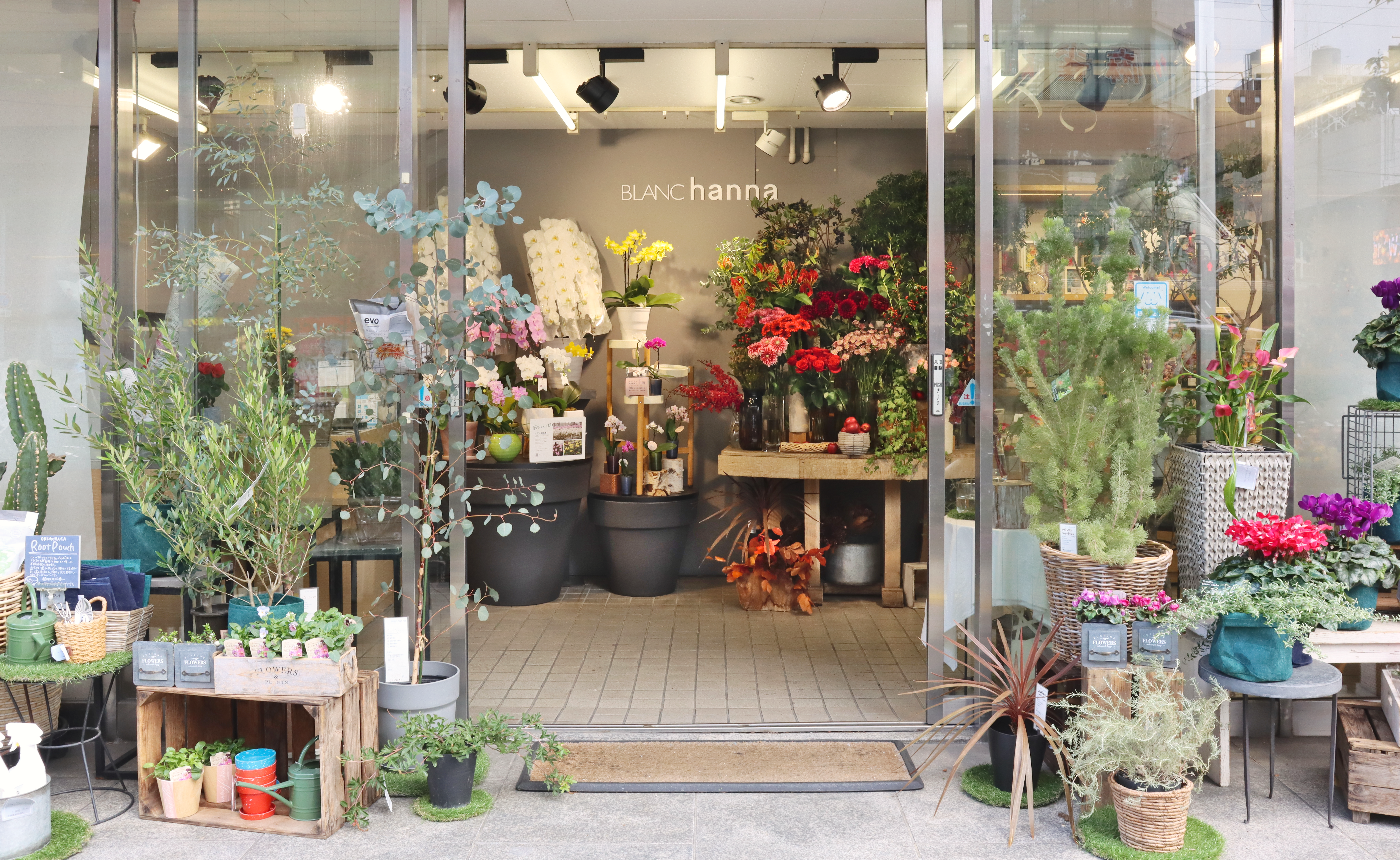 ブラン ハンナ 近鉄百貨店上本町店 リニューアルのお知らせ｜お知らせ